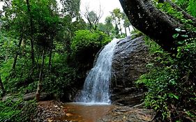 Karadikallu Homestay - Private Waterfalls, Trek, Hill Top, Home Food
